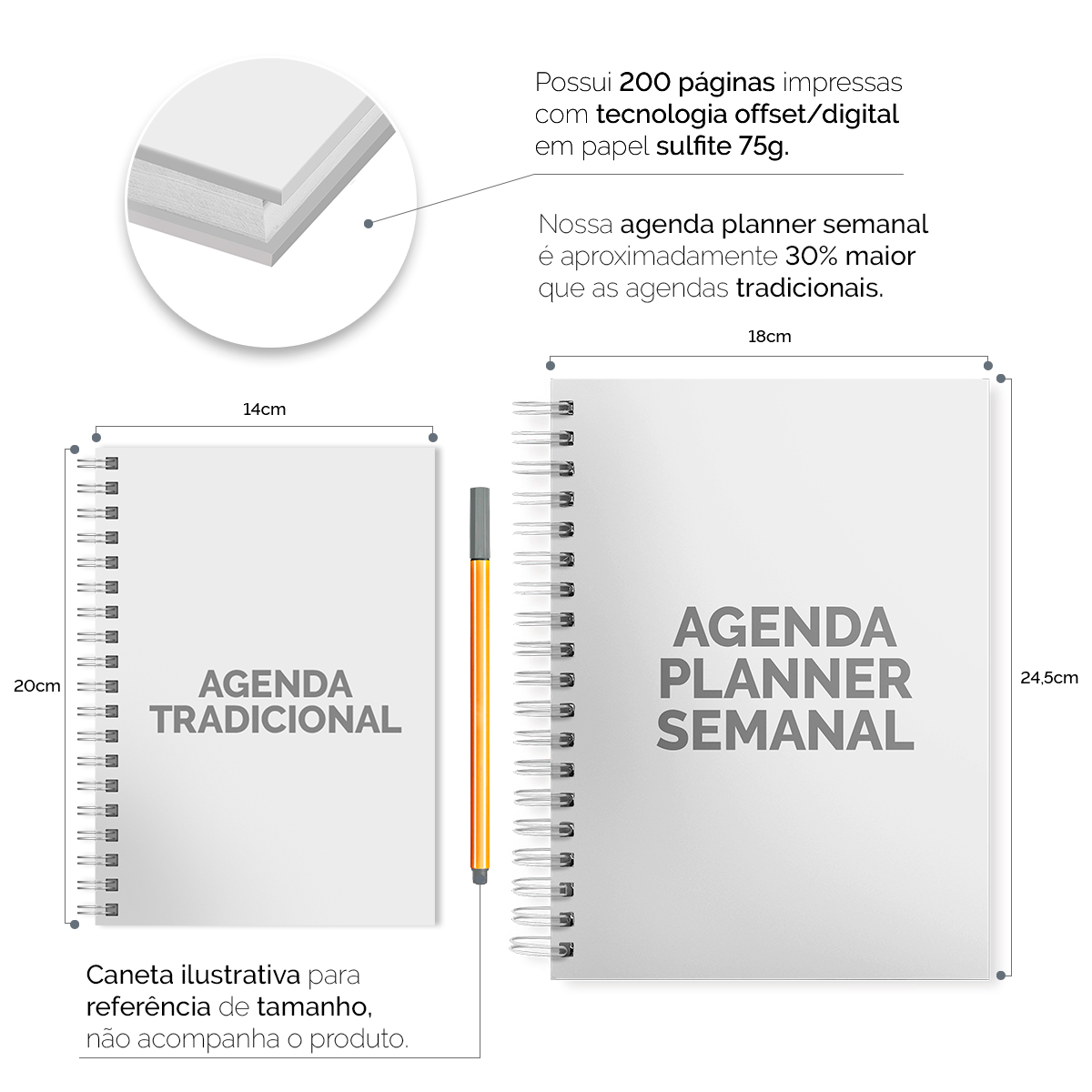 Agenda Planner Semanal 2024 Botanics Golden Leaves